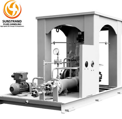 Καλή τιμή. Εναλλακτική λύση για τη Sundyne LMV 341 υψηλής ταχύτητας κατακόρυφη φυγοκεντρική αντλία API 610 Oh6 ολοκληρωμένη αντλία σε απευθείας σύνδεση